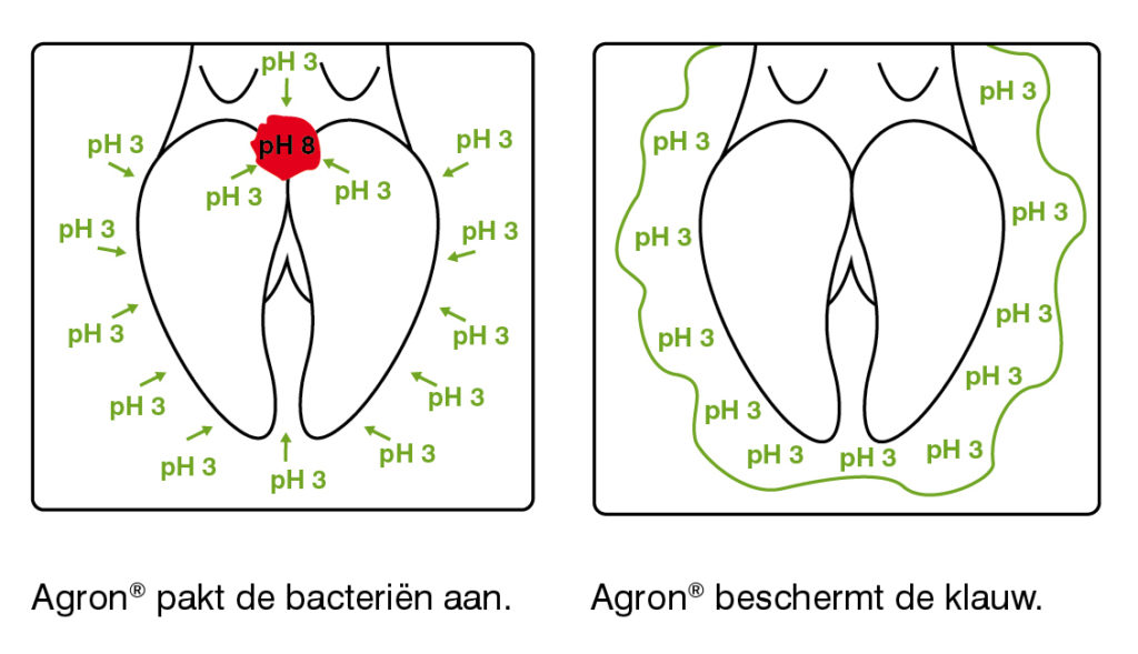 agron_ph_plaatjes