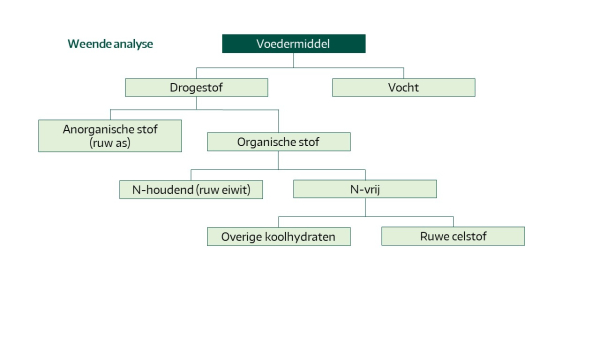 Weende analyse