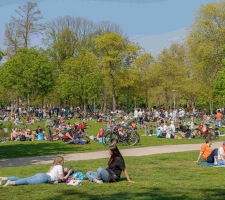 MegaGreen Park | VisscherHolland