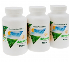 ADVANCE® Maize silage additive | VisscherHolland