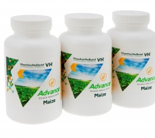 Silierhilfsmittel ADVANCE® Mais | VisscherHolland