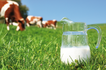 Meer melk per hectare