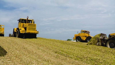 Mais inkuilen shovels