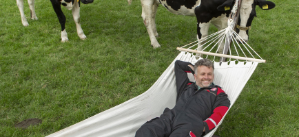 Zorgeloos boeren koeien in weiland Martijn header