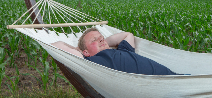 Zorgeloos boeren mais header