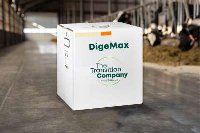 DigeMax productafbeelding